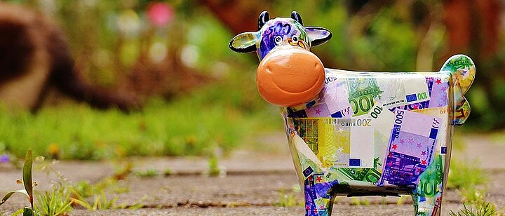 Bunte Kuh als Sparschwein